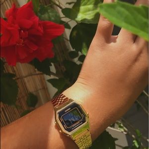 Casio Women's Gold-Tone Stainless steel Watch